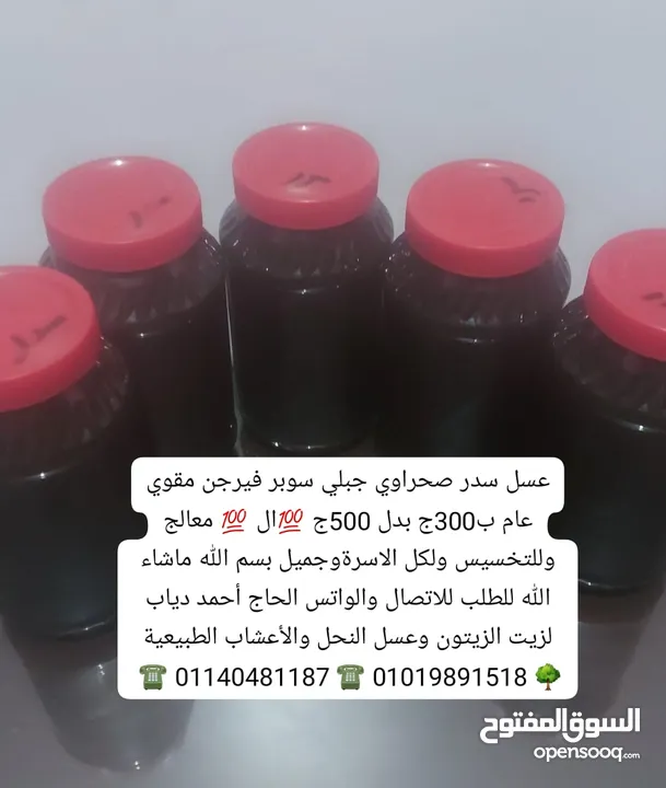 للبيع زيت زيتون سيناوي عصرة أولى على البارد حموضه اقل من واحد في الميه واغراض أخرى