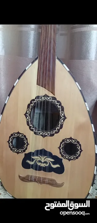 عود عربي للبيع