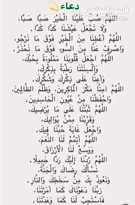 جوز حسون باضت بدون فحل