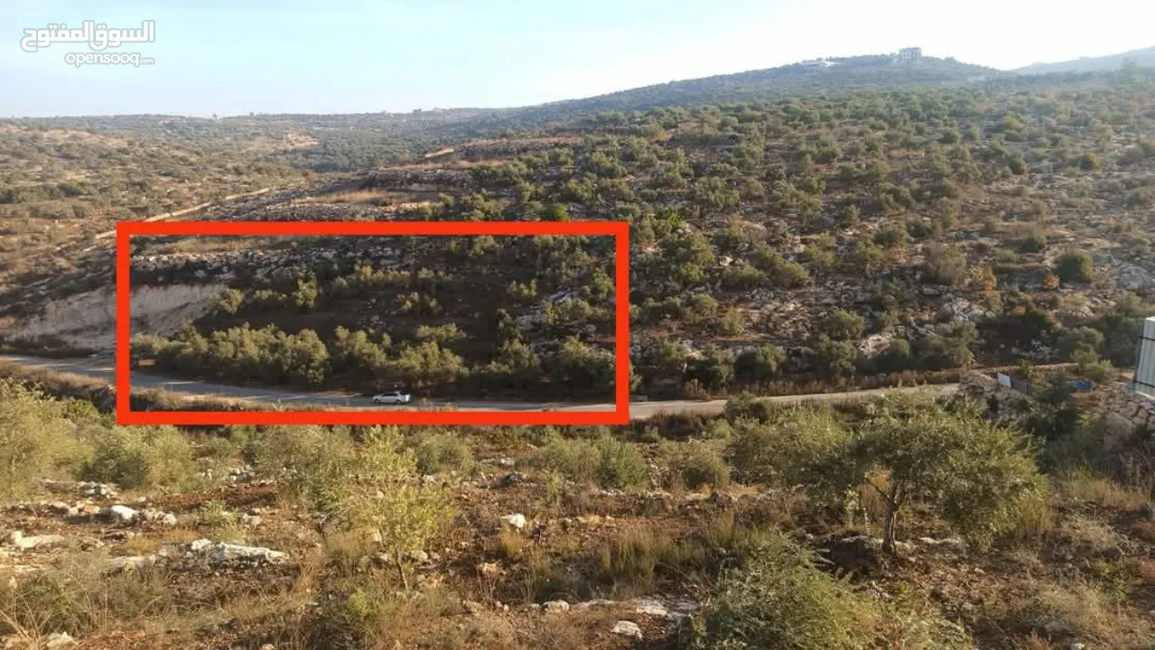 القبة الذهبية اراضي بلعا دير الغصون