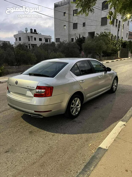 سكودا اوكتافيا صلون  موديل وترخيص2019