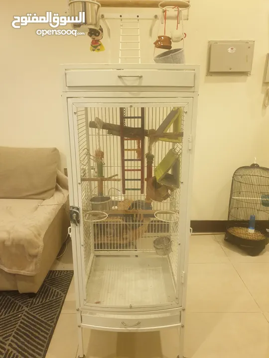 parrot cage