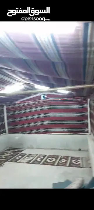 خيمه كتان سعودي نظام خليجي