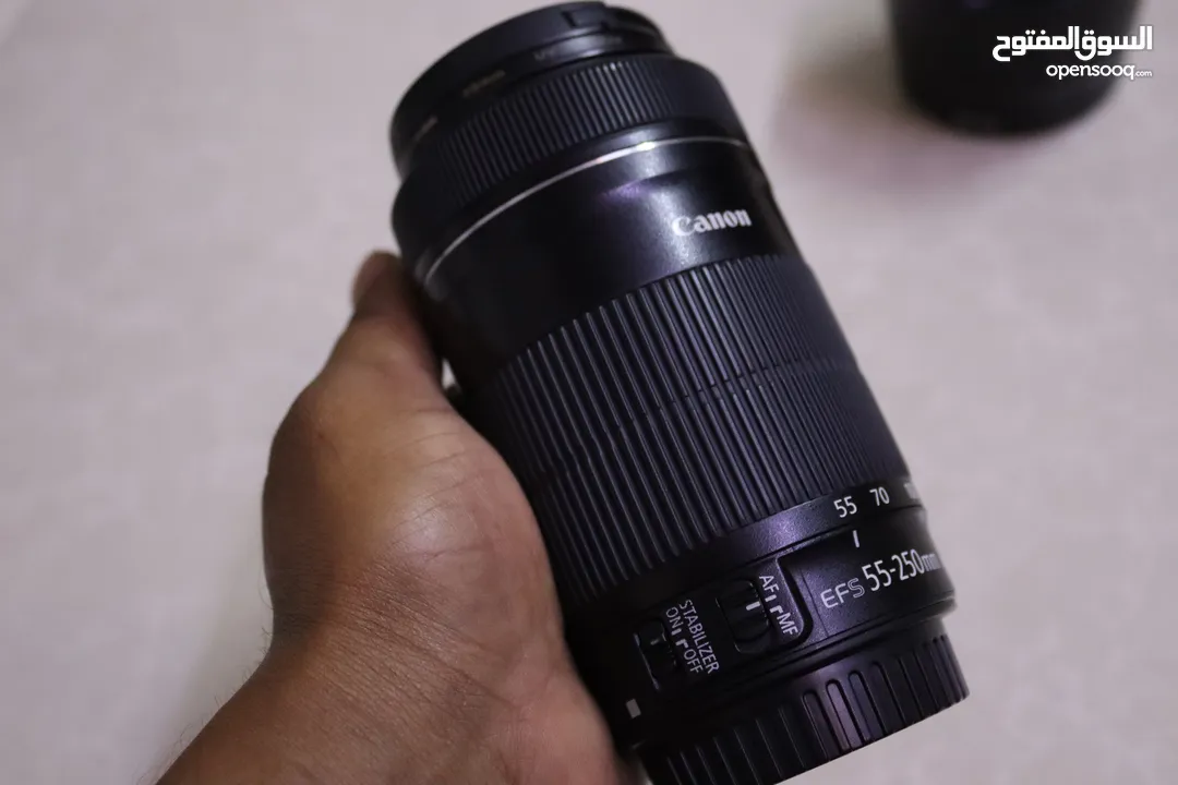 Canon EF-S 55-250mm f4-5.6 IS STM, Zoom lens best