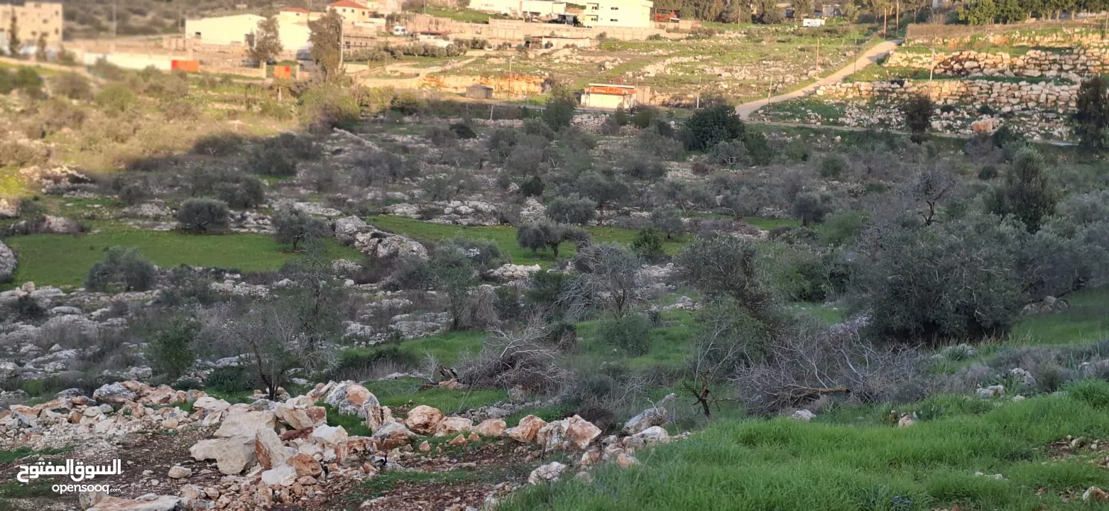 800متر طابوا فلسطيني في اجمل موقع بالكفريات واطلالة مميزةمنطقة( b)صالحة للبناء