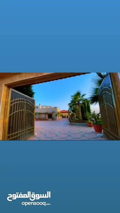 مزرعه للايجار في جبال جرش VIP