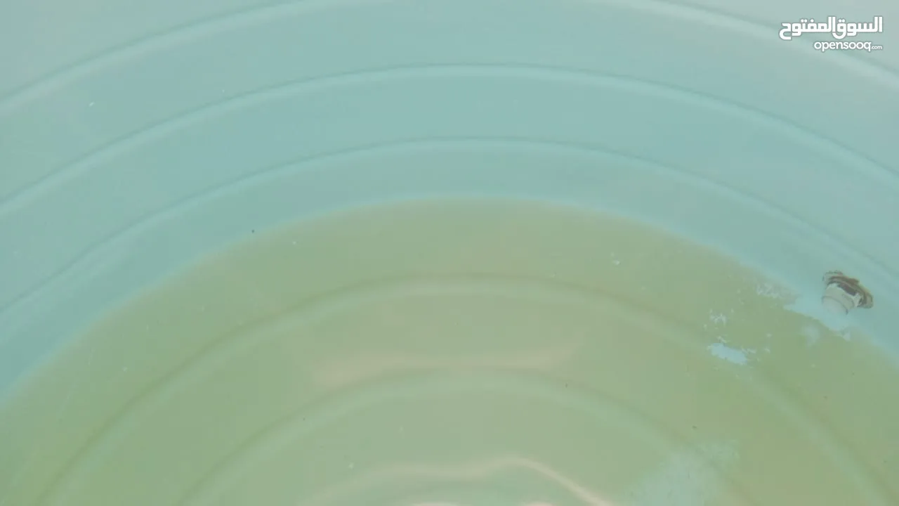 الصفوه لخدمات جلى الرخام والتلميع بكرستال وتنظيف الكنب والسجاد ورش الحشرات والتعقيم وتنظيف الفلل