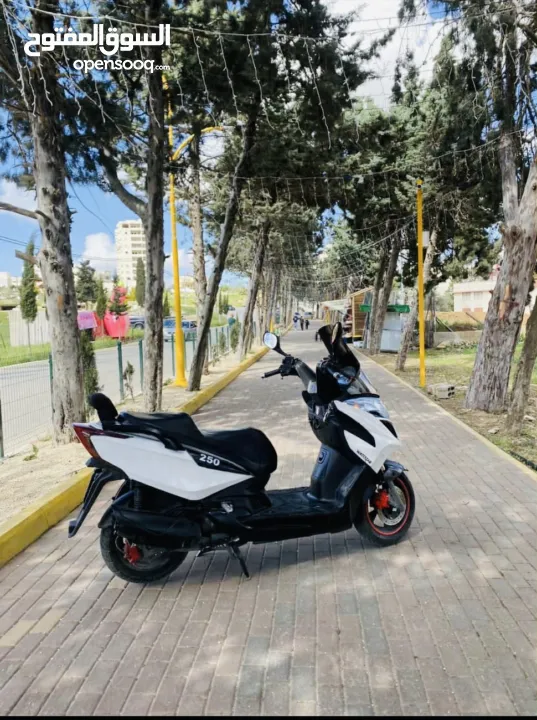 دراجة كامكو 2019