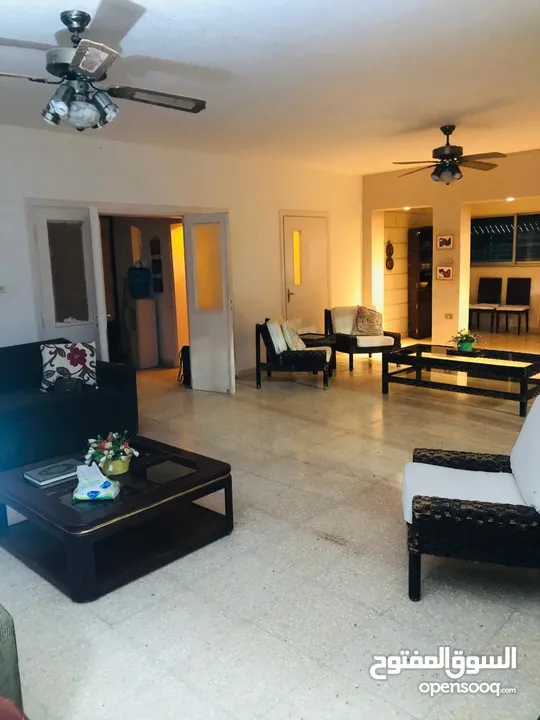 مزرعة في الشونة الجنوبية / غور نمرين - ref: 12165