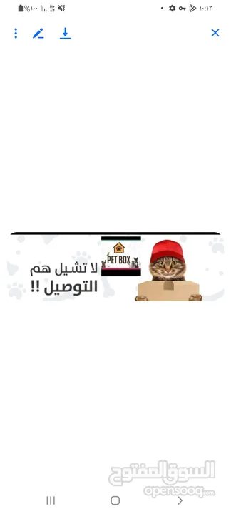 طعام حيوانات أليفه طعام قطط و رمل كربون مكفوول