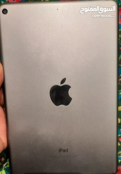 iPad (mini 5)