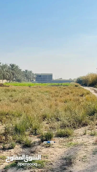 ارض 600م زراعي قابل للتقطيع في هور رجب