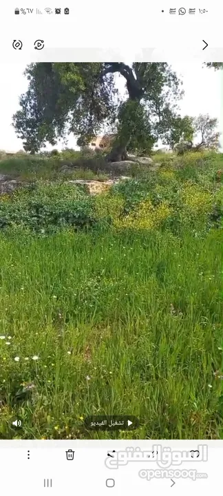 ارض للبيع  مساحة 620 متر مربع