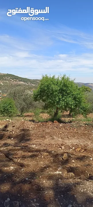 مزرعه راقيه صغيره للبيع موقع مميز جدا من مالك مباشره