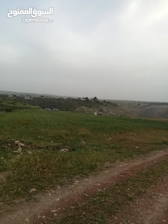 ارض سكنيه قرب مثلث حور فوعرا للبيع بسعر مغري