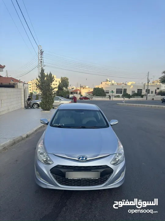 سوناتا وارد أمريكي