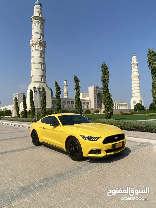 موستانج بهوان بحالة الوكاله mustang Bahwan 2016