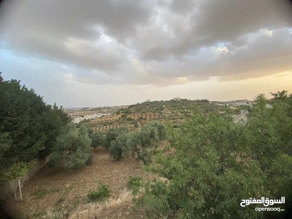 للبيع: أرض بإطلالة خلابة وموقع هادئ في دابوق من المالك مباشرة فيها منسوب