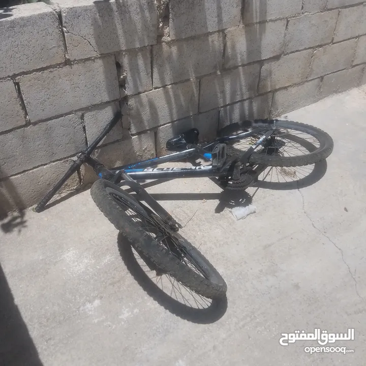 بسكليت24 تركي