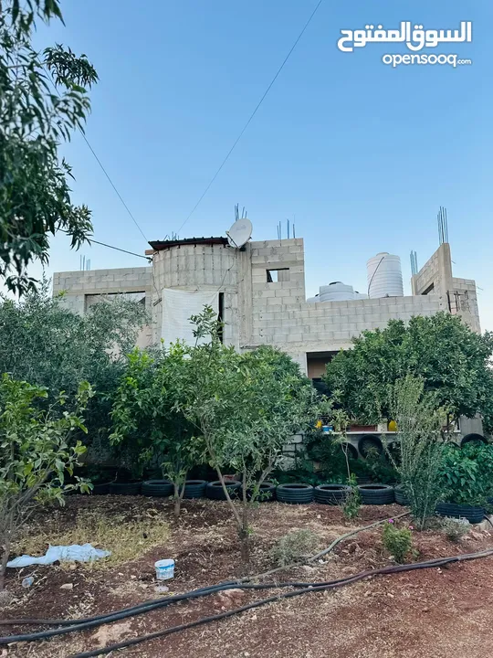 ابونعيم عمر