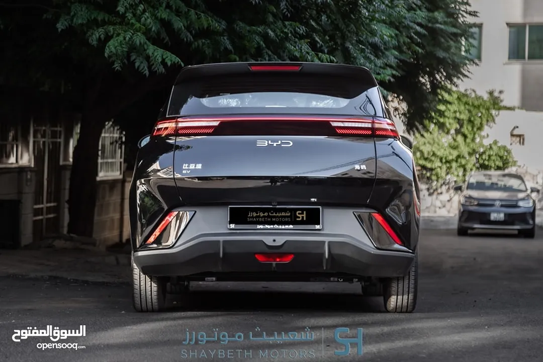 Byd Seagull 2024