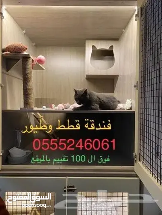 فندقة قطط وطيور 61 60 24 0555 وقت سفركم - الرياض
