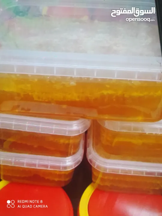 عسل فلسطين الجبلي