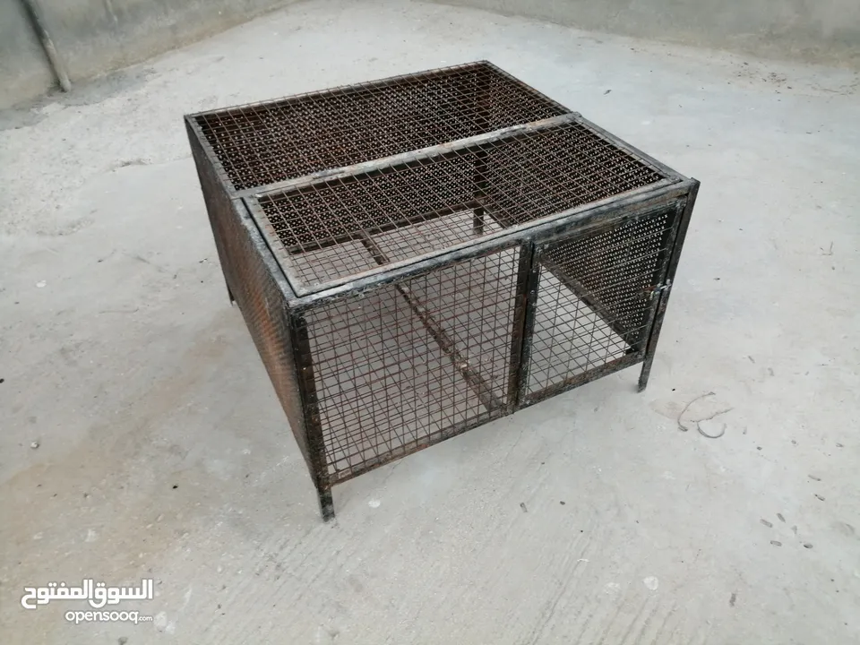 قفص دجاج للبيع : Chickens : Amman Al Hashmi Al Shamali (205082372)