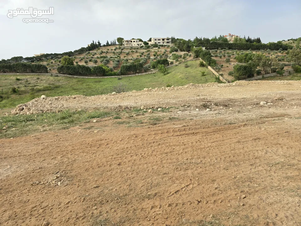 غرب سوف سهلات الغربيه قرب قصر السفير الاماراتي منطقه فلل و مزارع راقيه
