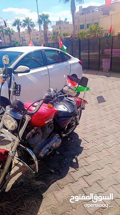 هارلي سبوستر Xl 883 l
