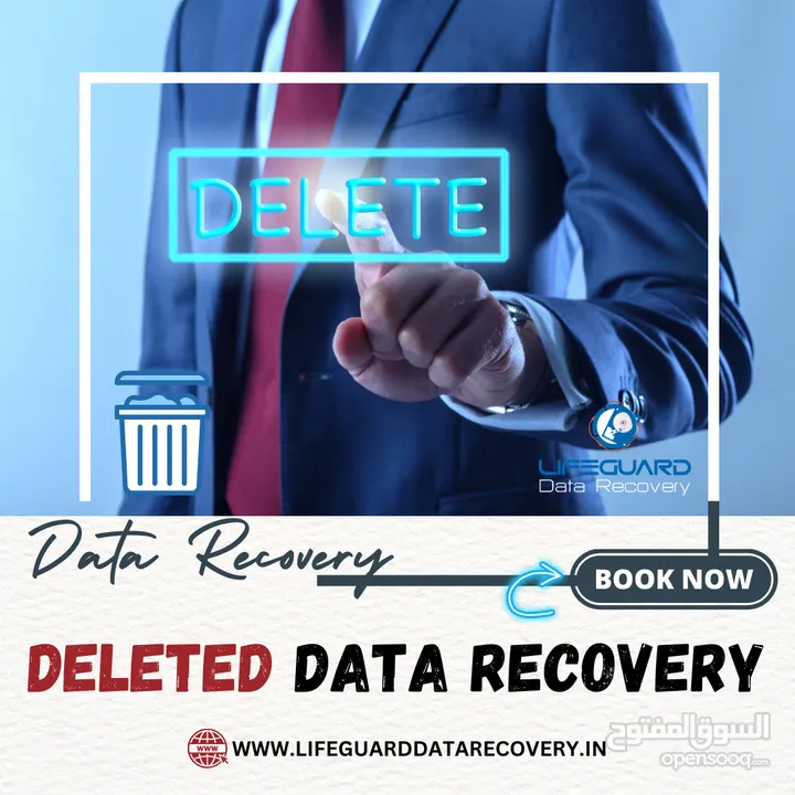 Lifeguard Data Recovery Services