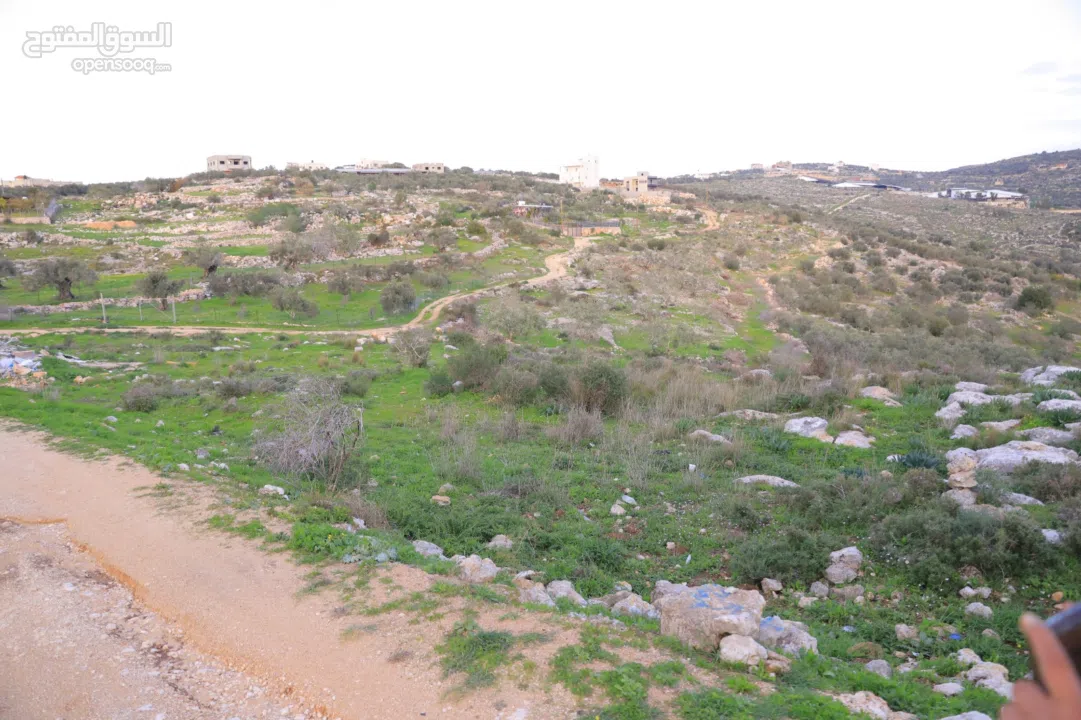 دونم ارض طابوا فلسطيني منطقة (B)بالقرب من دوار كفرصور جميع الخدمات فيها عليها شارع 12متر موقع مميز