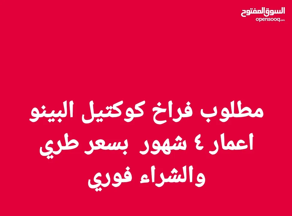 مطلوب مطلوب مطلوب