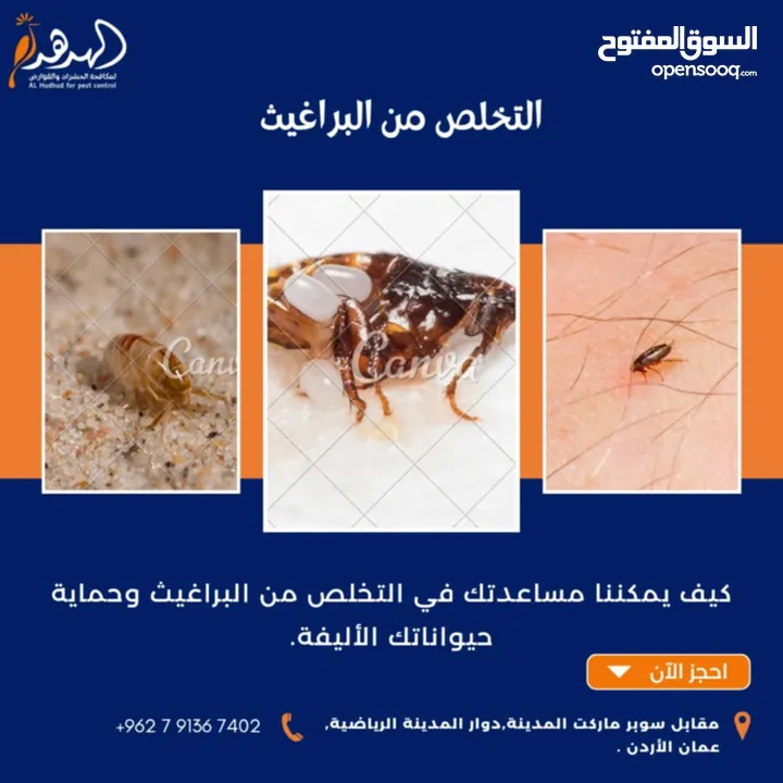 شركة الهدهد لمكافحة الحشرات والقوارض والتعقيم وتنسيق الحدائق وخدمات النظافة بخدمتكم