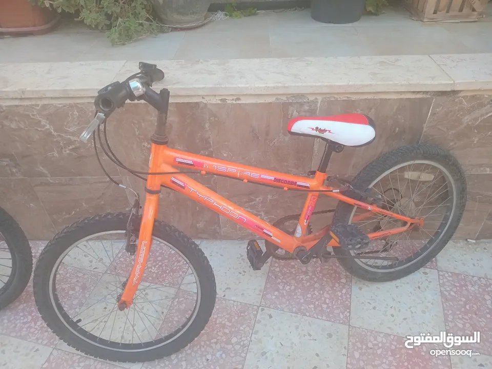 بسكليت نمره 20