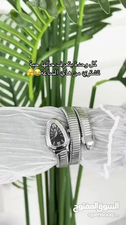 شكلها بمية وسعرها بخشيش، ساعة الحية رجعت توفرت