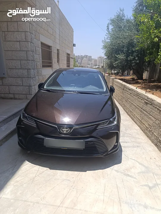 تويوتا كورولا موديل 2019