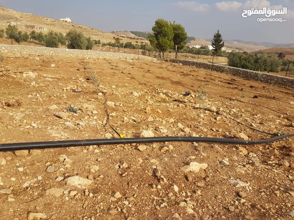 قطعة أرض مميزة زراعي او استثماري تصلح شاليه او مزرعة للبيع 10 دونم