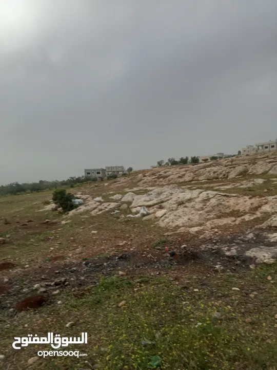 ارض سكنيه قرب مثلث حور فوعرا للبيع بسعر مغري
