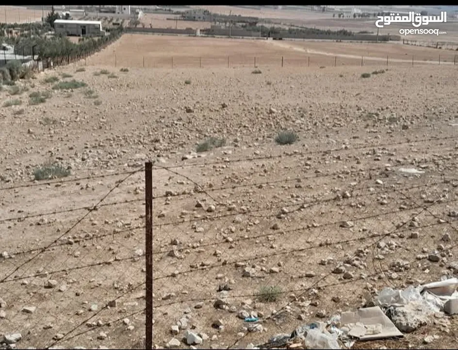قطعة أرض 4 دونم و 632 متر في بلعما منطقة الزيتونه