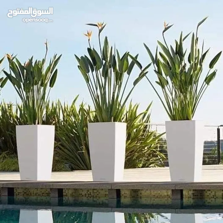 شمس و ورد لتنسيق وصيانة الحدائق