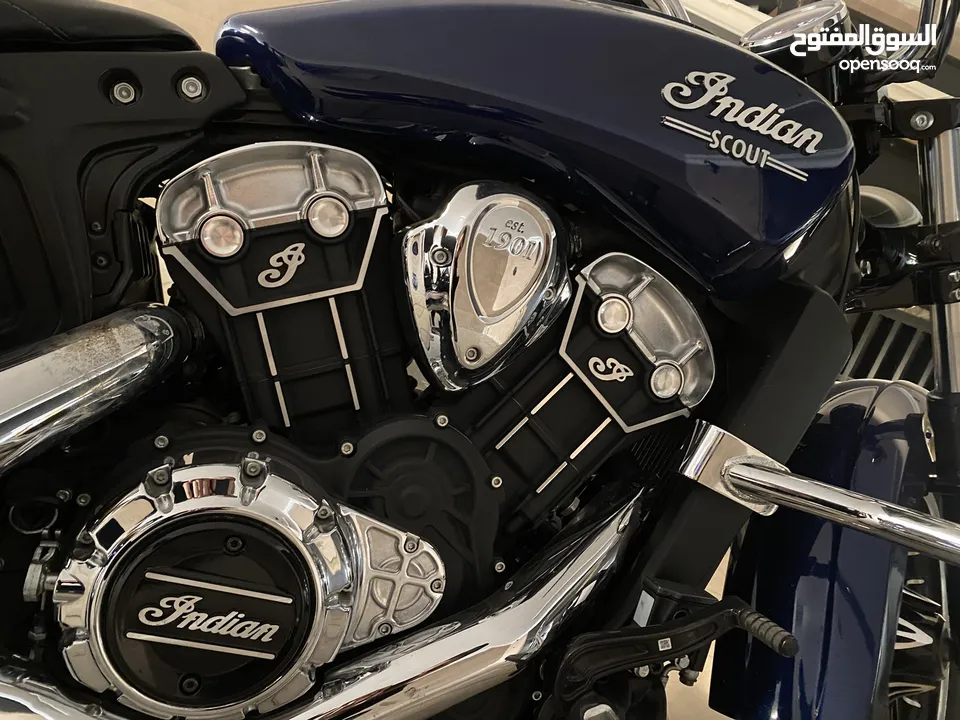 Indian scout  2021