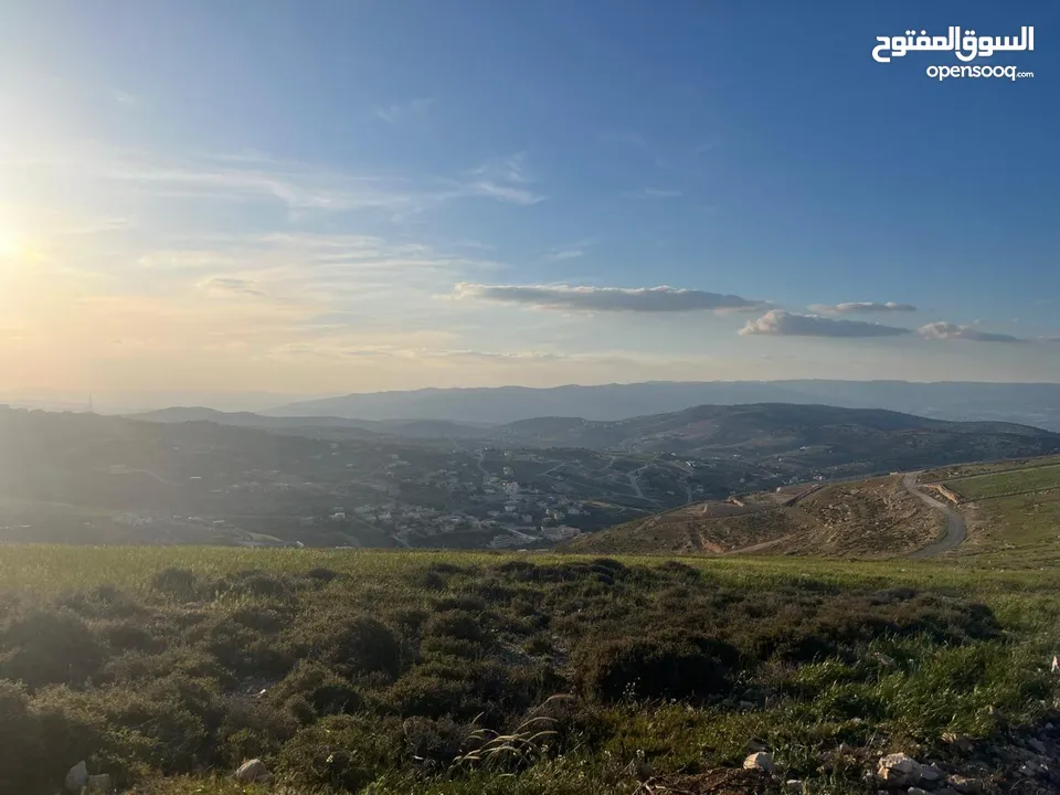 ارض الكمشة - استثمارية عالية و مطلة ( راس جبل)  قريب شارع الاردن 4 دونم إطلالة بانورامية مطلة