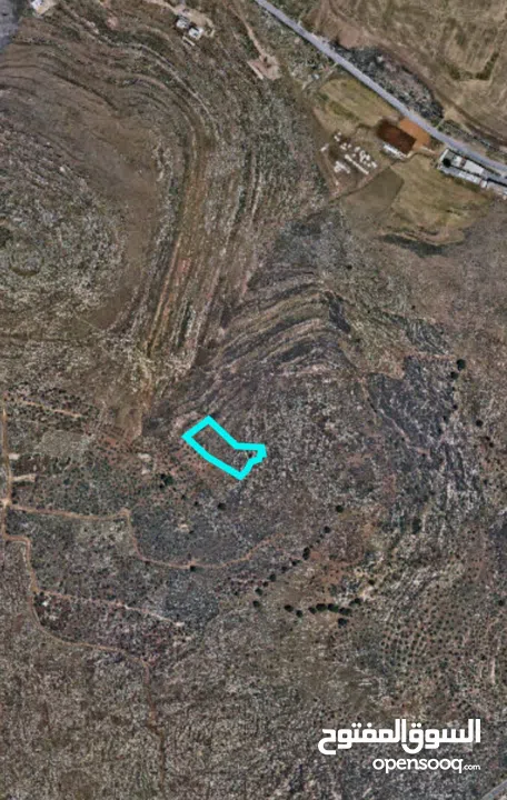 احمد ابو مصطفى