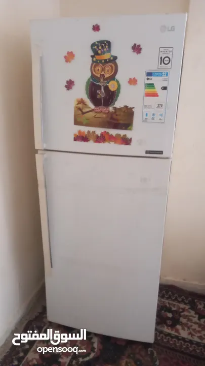 اربد البارحه