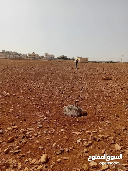 أرض مميزة في خشافية الشوابكة