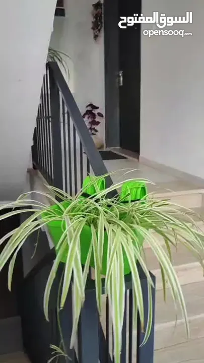 شقة للبيع منطقة المسجد جفنا