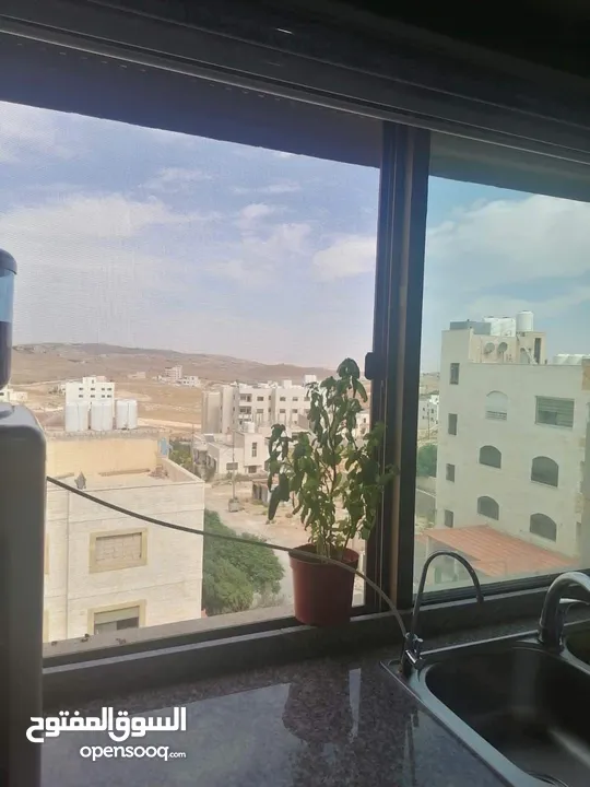 شقة شفا بدران حي الضياء