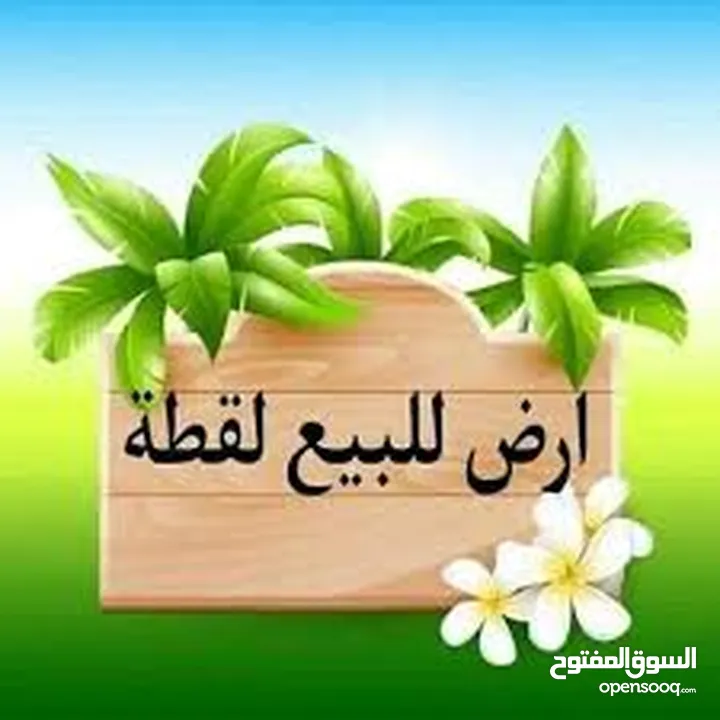 ارض للبيع في بيت ايبا