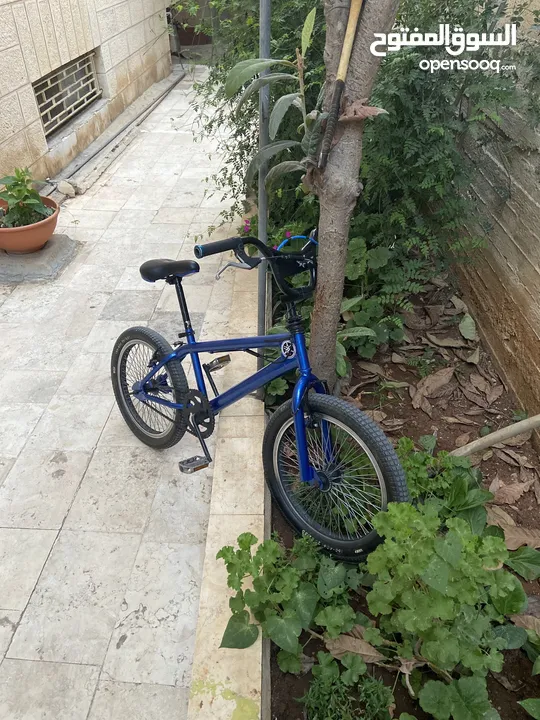 للبيع او بدل علا عصافير